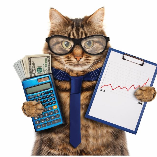 Boldog könyvelők napját! 💵💰⚖️🕯💻 #könyvelés , #könyvelők, #adótanacsádás